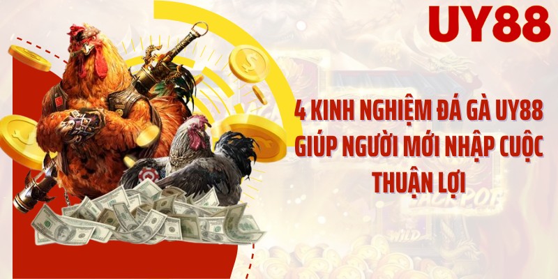 4 kinh nghiệm đá gà UY88 giúp người mới nhập cuộc thuận lợi