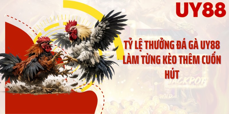 Tỷ lệ thưởng đá gà UY88 làm từng kèo thêm cuốn hút
